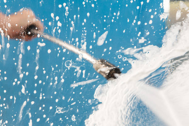 Animal Enclosure Cleaning in Lopezville, TX