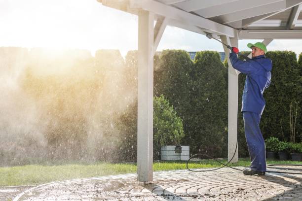 Best Building Exterior Washing  in Lopezville, TX