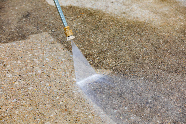 Best Concrete Sealing  in Lopezville, TX